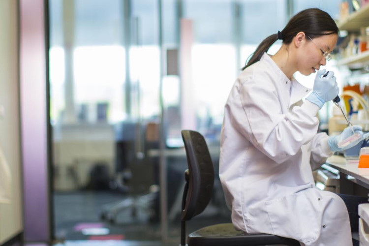 a  female researcher working in a lab