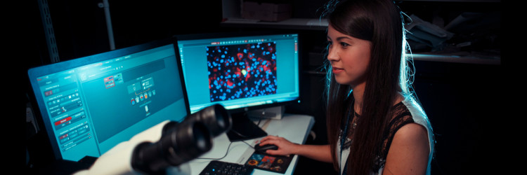 A researcher studying cells on a screen