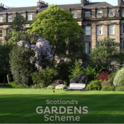 A picture of a beautiful green garden in the summer time