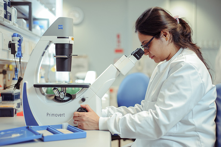 a young female researcher wearing a lab coat sitting looking down the eyepieces of a microscope