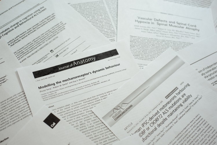 Image of research papers