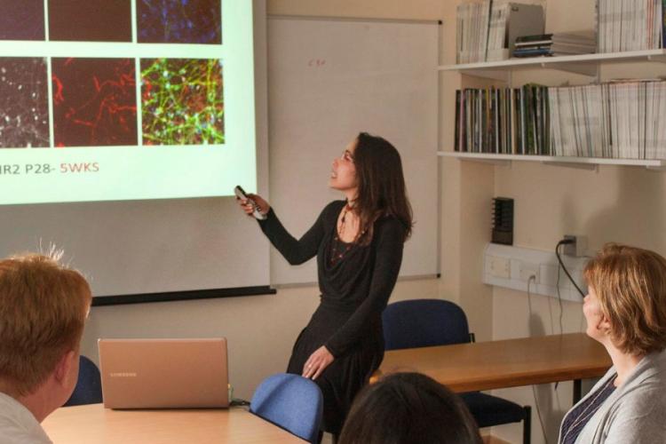 Students at a scientific presentation