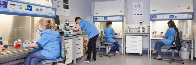 Inside of a busy laboratory, four researchers in blue lab coats are working at lab benches