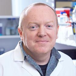 Professor David Lyons